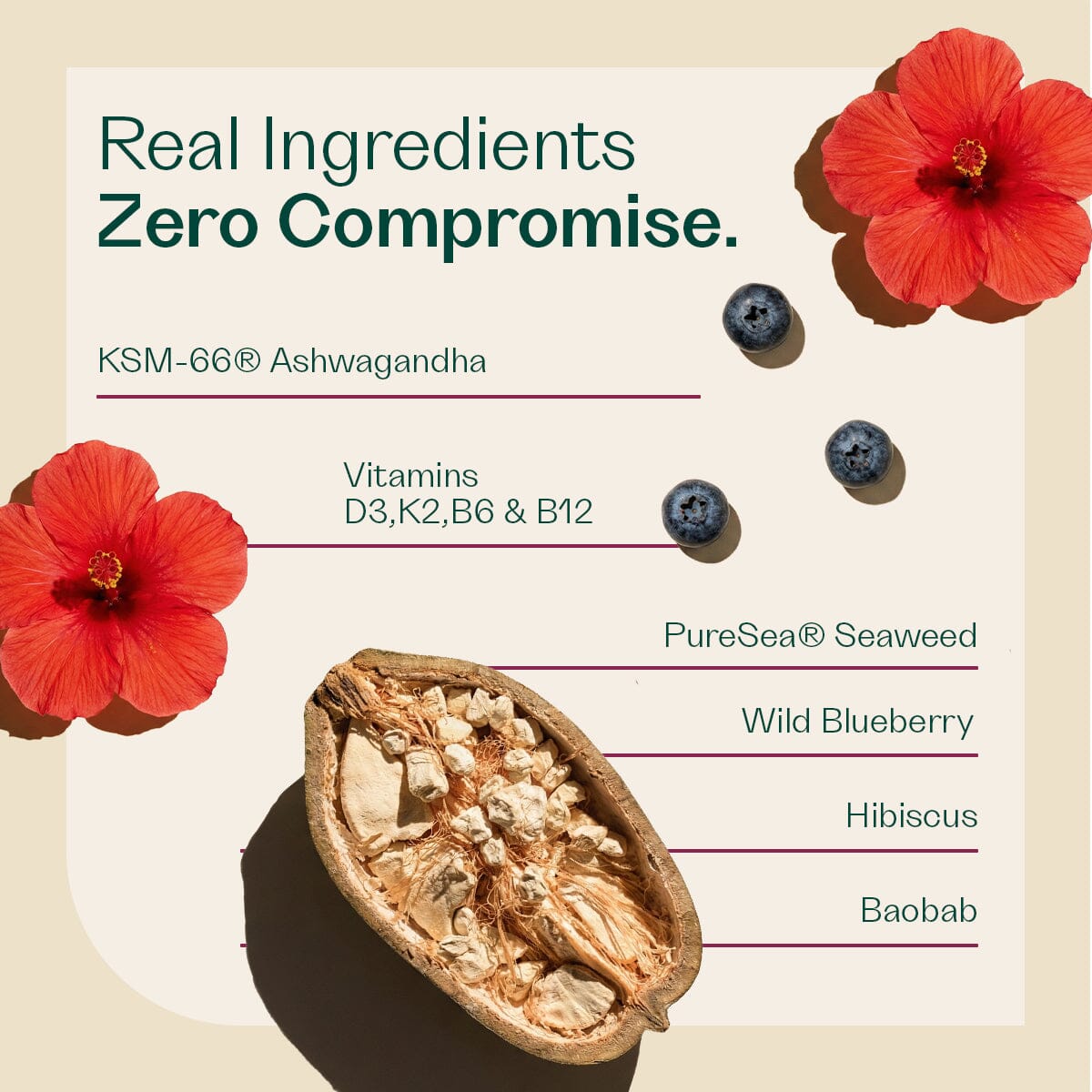 Balance Tonic - Menopause Product Rheal Superfoods