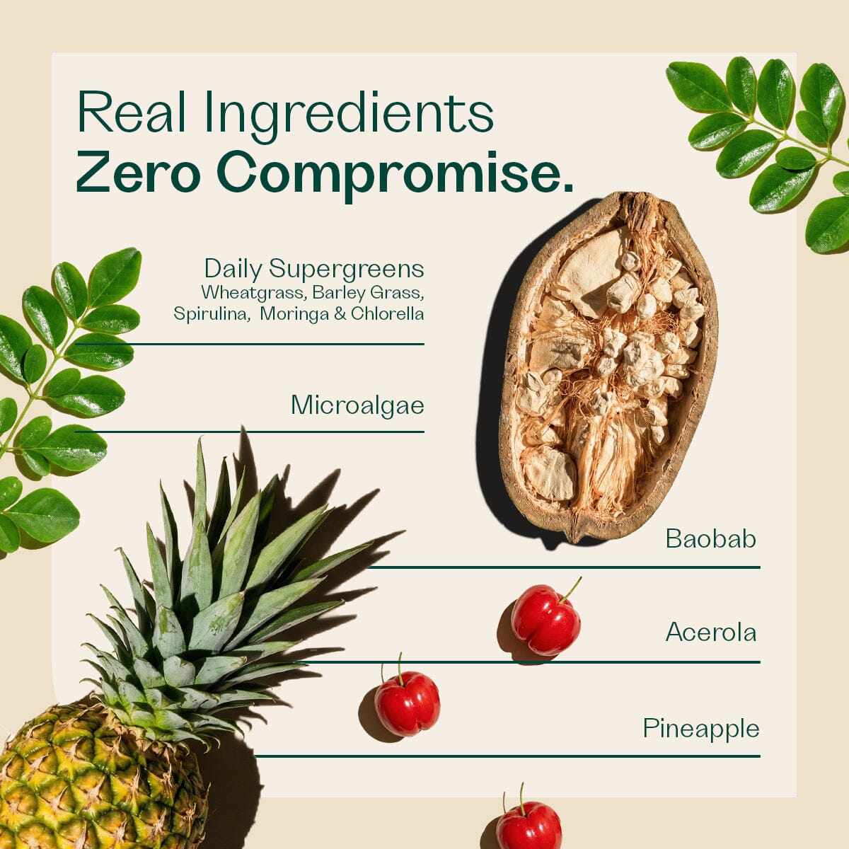 Clean Greens Single Blend Rheal Superfoods