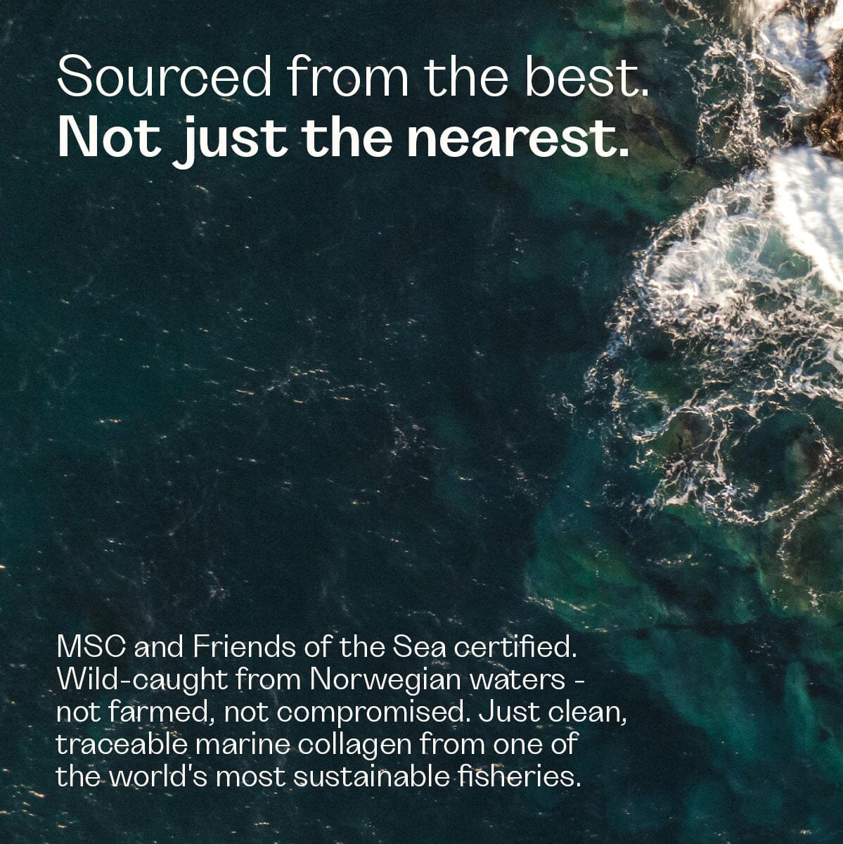 Marine Collagen Collagen (New) Rheal