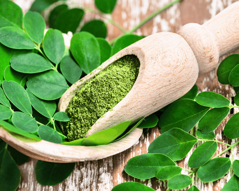 9 Health Benefits of Moringa