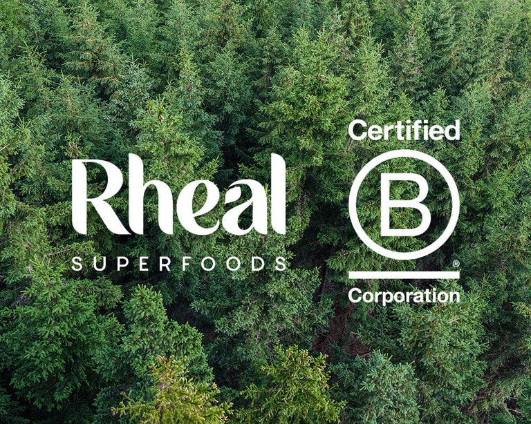 A Rheal B Corp Update: One Year On 🎉