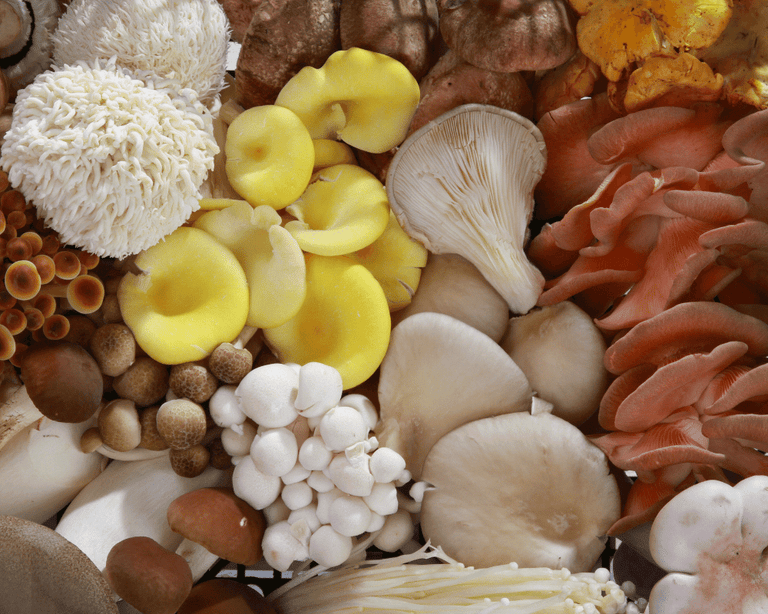 Are mushrooms a superfood?