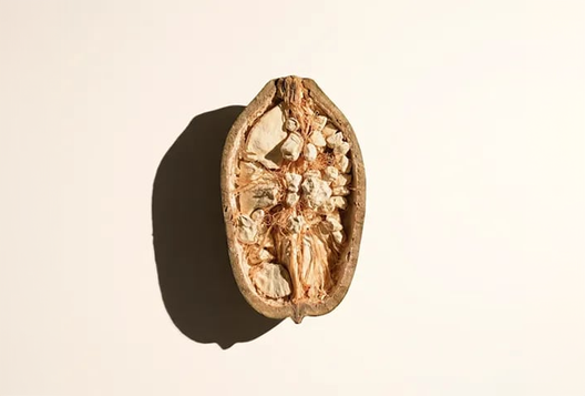 Baobab