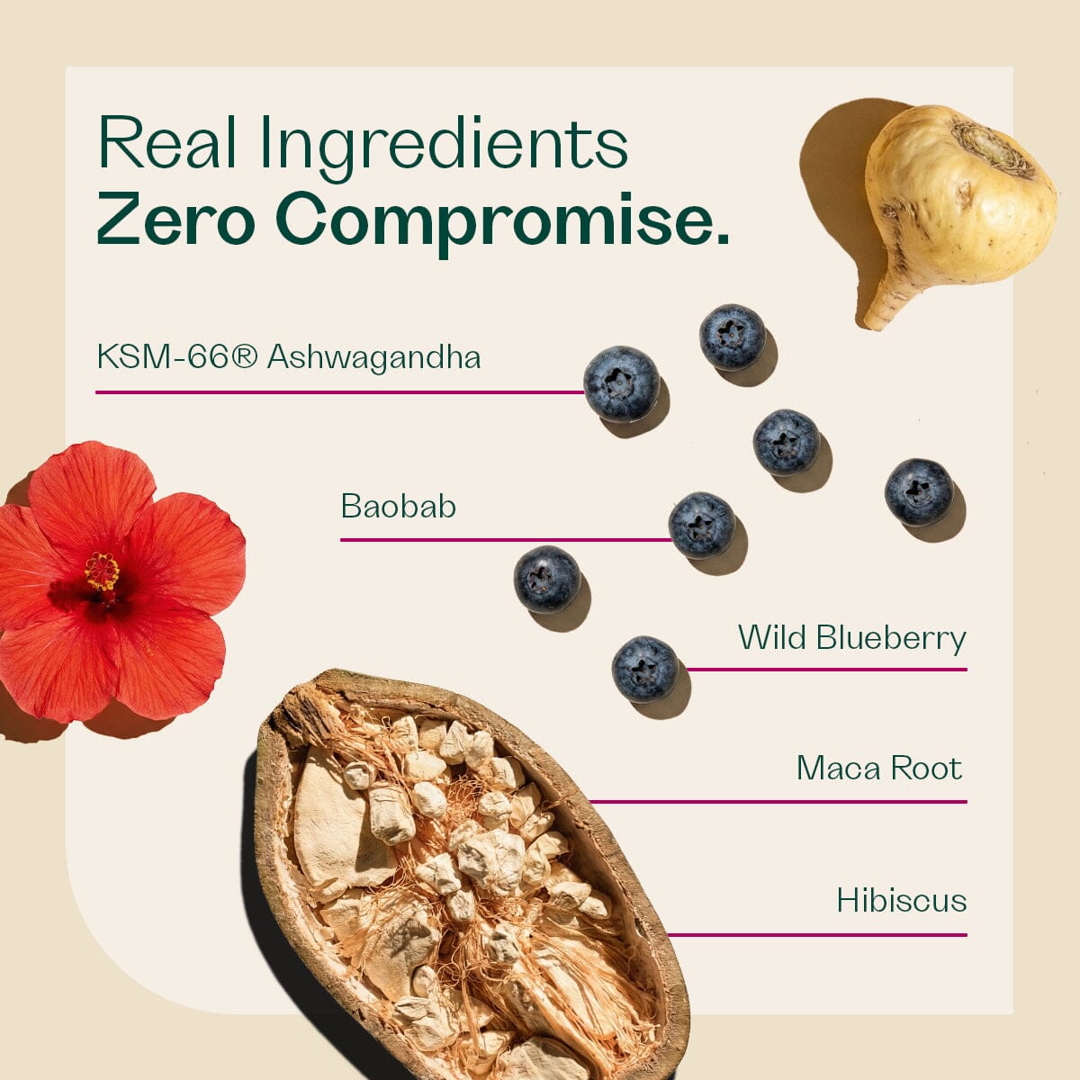 Balance Tonic - Cycle Product Rheal Superfoods 