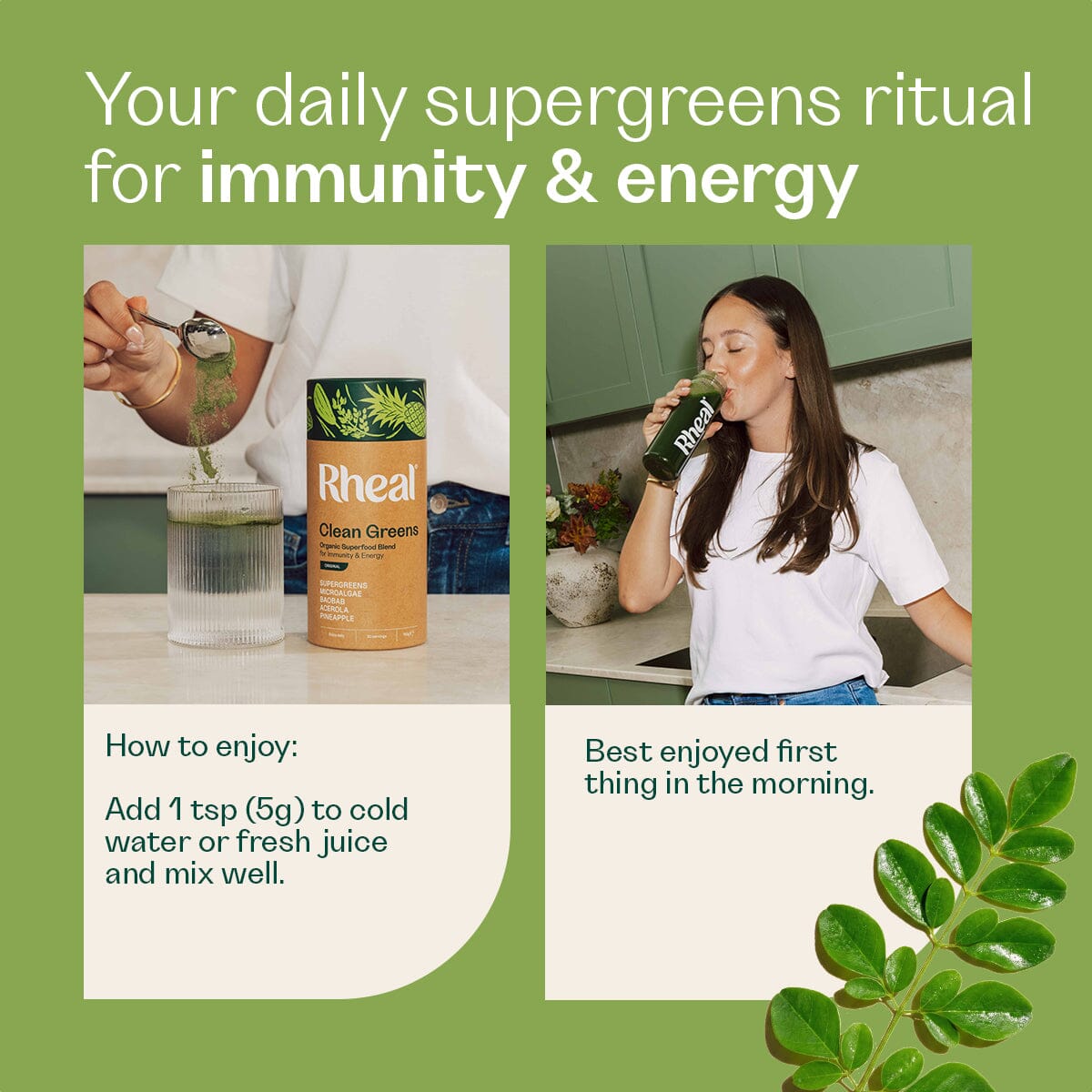 Clean Greens Single Blend Rheal Superfoods 