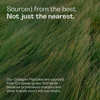 Collagen Peptides Collagen (New) Rheal 