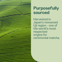 Magic Matcha Single Blend Rheal Superfoods 