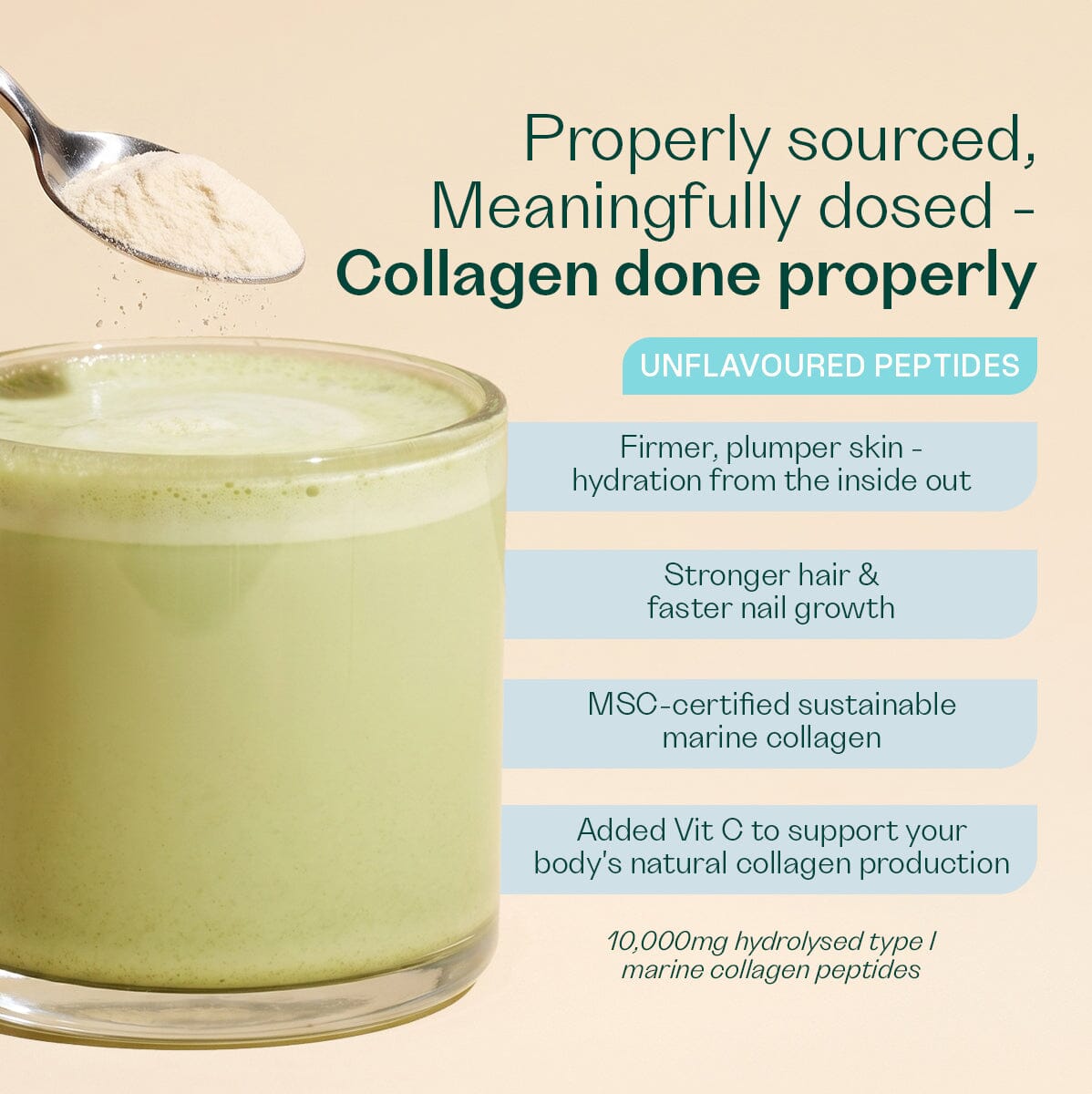 Marine Collagen Collagen (New) Rheal 