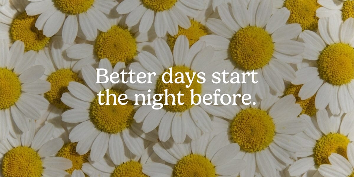 Night Reset Capsules Capsule Rheal 