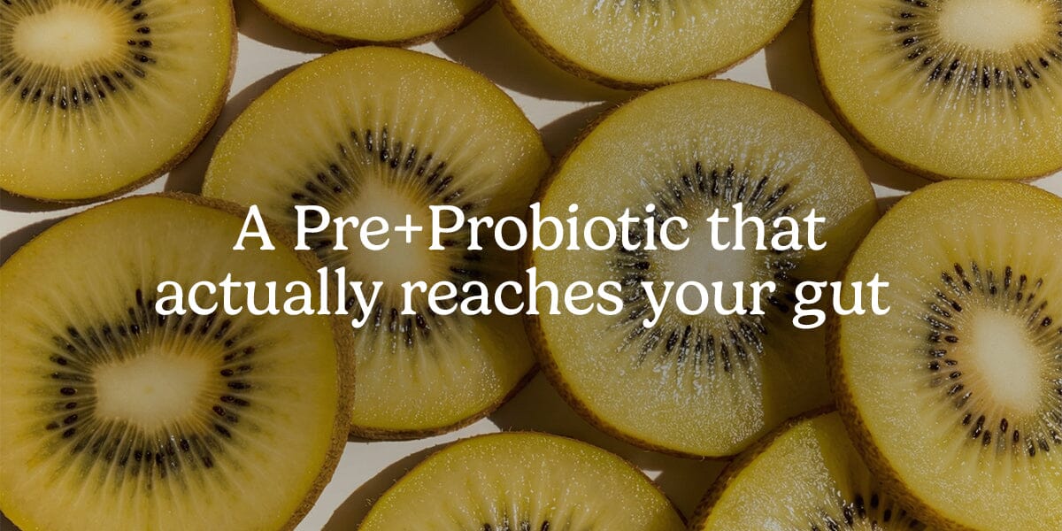 Pre + Probiotic Capsules Capsule Rheal 