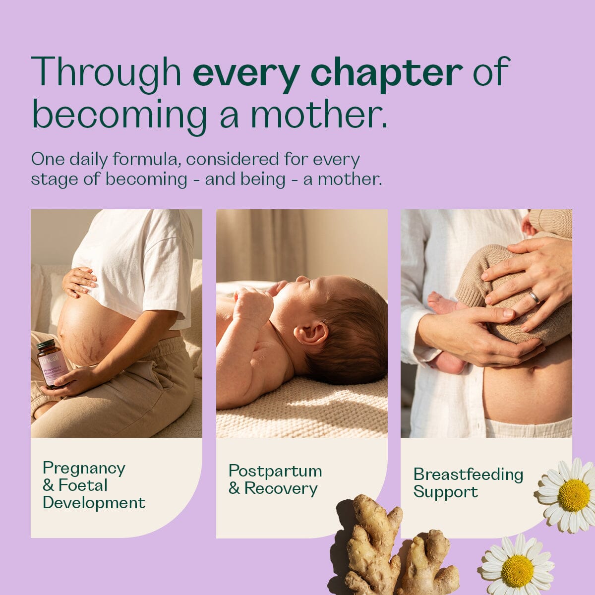 Pregnancy & New Mama Capsule Rheal 