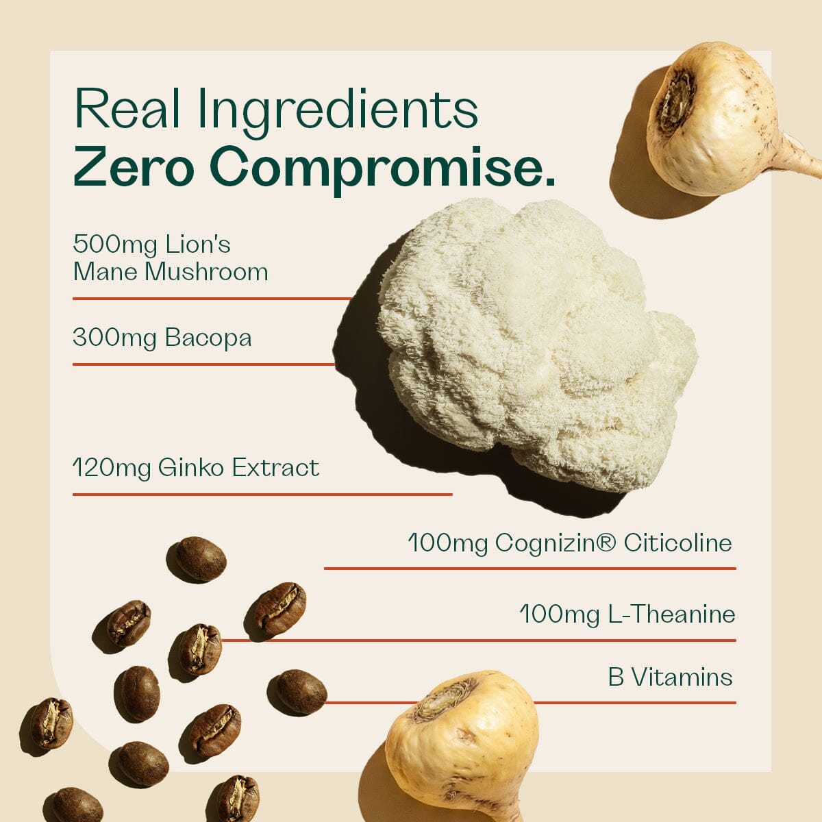 Shroom Coffee Hot Drink Pouch Rheal 